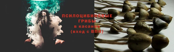 дмт Горно-Алтайск