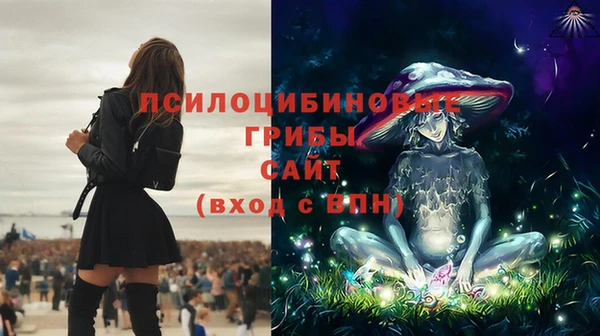 mdpv Горняк