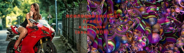 ешки Вяземский